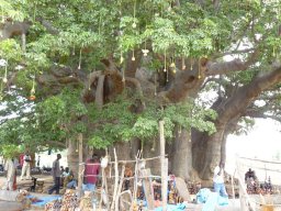 282594_10150257960419901_6284533_n